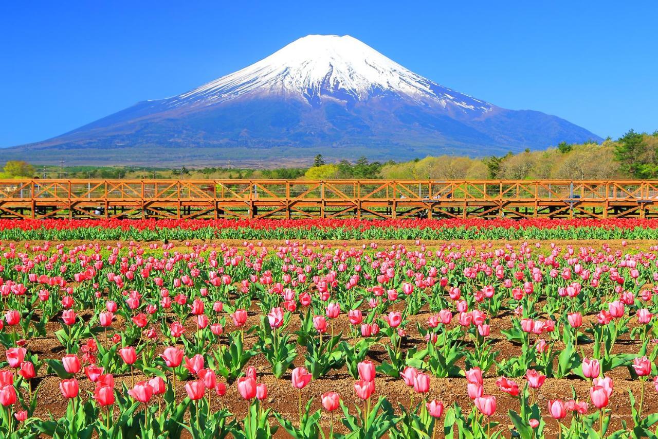 Hatago Sakuraya Yamanakako Buitenkant foto